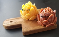 Lotusbloem van geurblokjes