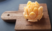Lotusbloem van geurblokjes