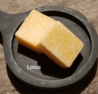 Geur/amber blokje Lotus