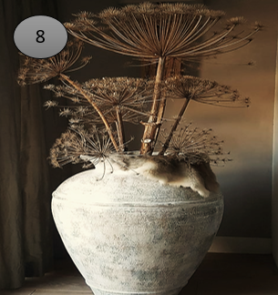 Viltje nr. 8 Pot met Bereklauw