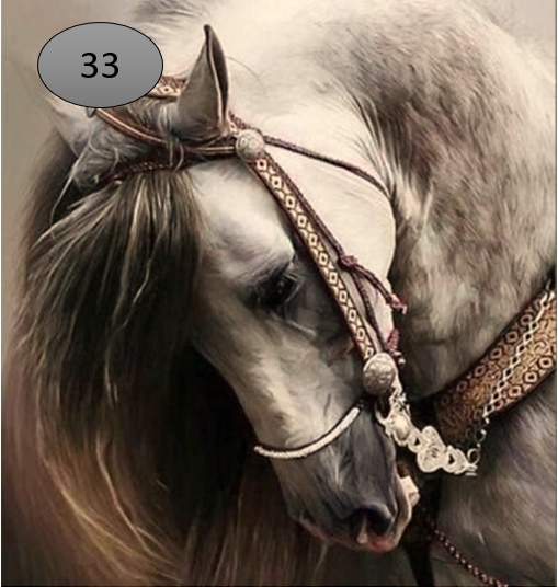 Viltje nr. 33 Paardenhoofd