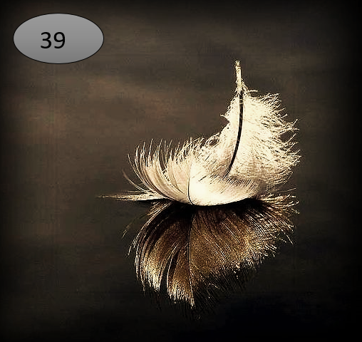 Viltje nr. 39 Veertje