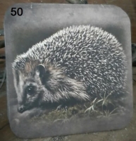 Viltje nr. 50 Egel