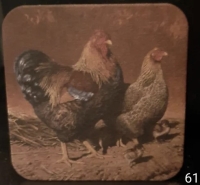 Viltje nr. 61 kippen