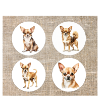Onderzetters Chihuahua