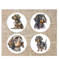 Onderzetters Teckel