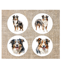 Onderzetters Australian Shephard