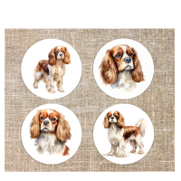 Onderzetters Cavalier King Charles Spaniel