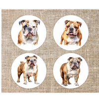 Onderzetters Bulldog