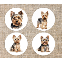 Onderzetters Yorkshire terrier