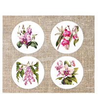 Onderzetters Orchidee