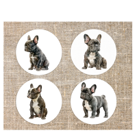 Onderzetters French Bulldog