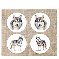 Onderzetters Siberian Husky