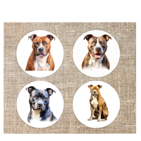 Onderzetters Staffordshire Bull