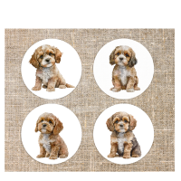 Onderzetters Cavapoo