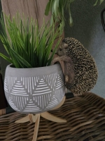 Hangende egel