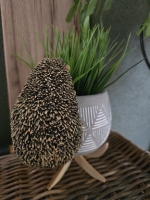 Hangende egel