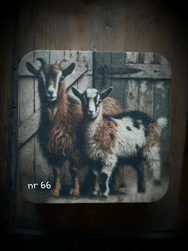 Viltje nr. 66 Geitjes