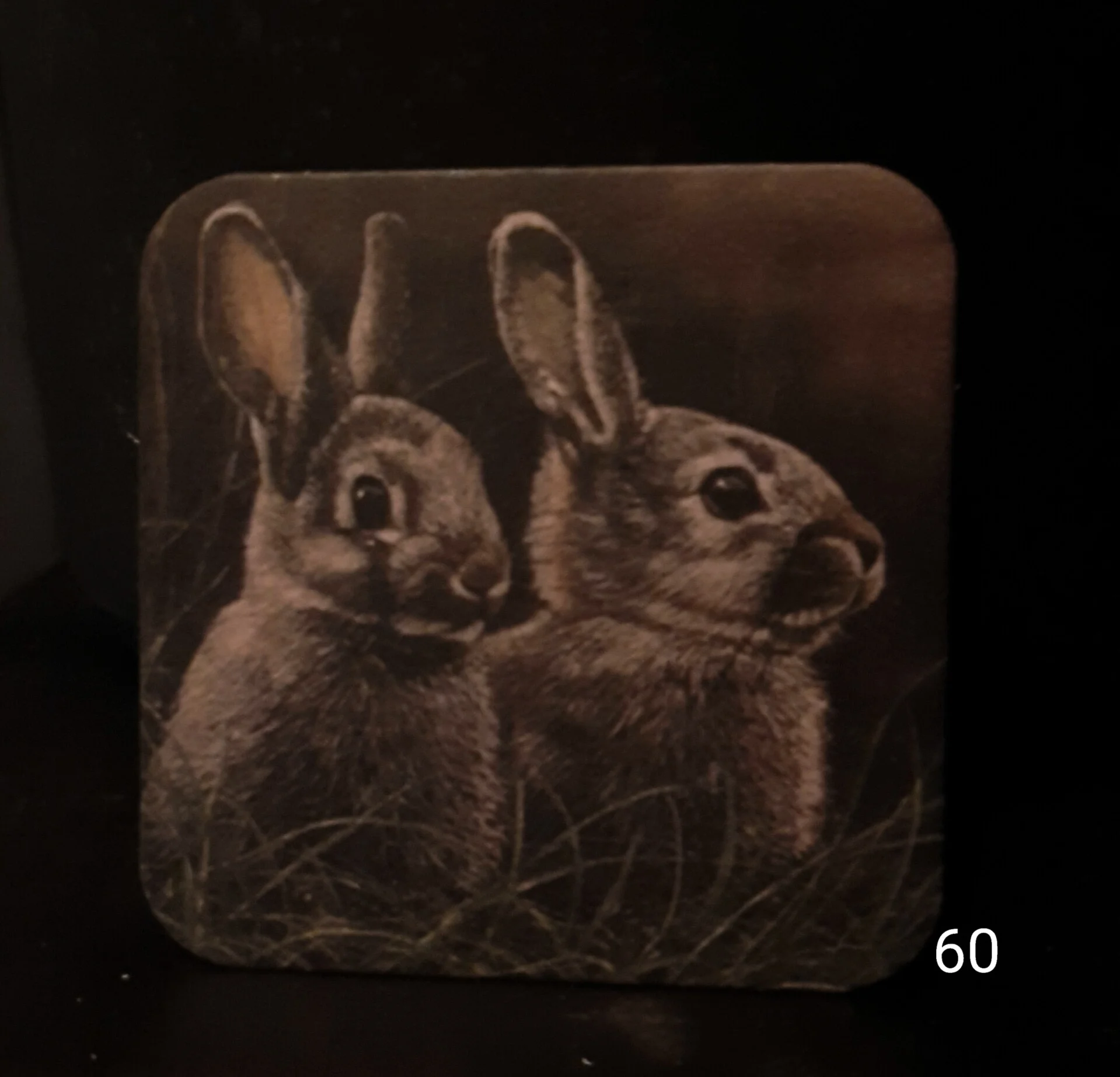 Viltje nr. 60 Haasjes