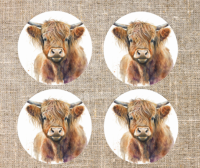 Onderzetters Schotse Hooglander